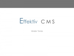 effektiv-cms